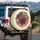Vintage American Flag Red Rose Cursive Script - Patriotic Gift for Veterans Spare Tire Cover - 3