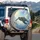 Majestic Sea Turtle Golden Dream Sky - Wildlife Ocean Lover Gift Spare Tire Cover - 3