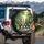 Striped Tabby Orange Fluffy Tuxedo Cats Green Path - Cat Owner Outdoor Adventure Spare Tire Cover - 3