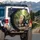 Walking Tabby Orange Black White Cats Woodland Path - Pet Lover Gift Spare Tire Cover - 3