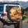 Majestic Camel Dunes Egyptian Pyramids Palm Trees Golden Sunset Desert - Travel Essentials Spare Tire Cover - 3