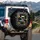 Red-Eyed Tree Frog Stone Wall Rupture - Wildlife Lover Gift for Frog Enthusiast Spare Tire Cover - 3