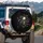 Dark Skull Butterfly Cherry Blossoms Tree Branches - Nature Lover Decor Gift Spare Tire Cover - 3