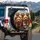 Poodle Mix Dogs Leather Seat Dashboard Landscape - Travel Essentials Gift for Dog Lovers Spare Tire Cover - 3