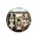 Five Tricolor Australian Shepherds Vehicle Interior Road Trip - Dog Lover Gift Spare Tire Cover - 4