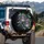 Purple Cap Mushroom Golden Halo Fern Dragonfly - Outdoor Enthusiast Gift Spare Tire Cover - 3