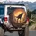 Powerful T-Rex Prehistoric Landscape - Dinosaur Adventure Gift Spare Tire Cover - 3