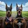 Doberman Pinschers American Flag Highway View - Patriotic Gift for Dog Lovers Spare Tire Cover - 6