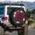 Dramatic Deep Magenta Rose Dark Foliage Light Pink Floral White Starburst - Home Decor Gift Spare Tire Cover - 3