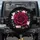 Dramatic Deep Magenta Rose Dark Foliage Light Pink Floral White Starburst - Home Decor Gift Spare Tire Cover - 1