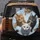 Close-up Curious Tabby Cat Group Blue Sky Clouds - Car Accessory Cat Lover Gift Spare Tire Cover - 5