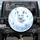 White Arctic Fox Blue Monarch Butterflies Ice Petals - Wildlife Lover Gift Spare Tire Cover - 1