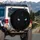 Piercing Cat Eyes Celestial Mist - Mystical Decor Gift for Cat Lover Spare Tire Cover - 3