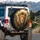 Majestic Lion Jungle Canopy Tropical Foliage Misty Mountains - Wildlife Lover Gift Spare Tire Cover - 3