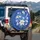 Blue-and-White Bird in Flight Blooming Lily Vine - Nature Lover Gift Spare Tire Cover - 3
