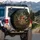 Red Cap Spotted Mushroom Fungi Fern Woodland Scene - Nature Lover Gift Spare Tire Cover - 3