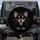 Black Tan Chihuahua Puppy Large Expressive Eyes Deep Black Background - Chihuahua Lover Gift Spare Tire Cover - 1