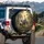 Elephant Giraffe Bear Elk Impala Jungle Wildlife Scene - Wildlife Lover Gift Spare Tire Cover - 3