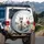 Bull Terrier Goggles Pink Bow Dog Trio - Outdoor Adventure Dog Lover Gift Spare Tire Cover - 3