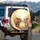 Sweet Baby Elephants Landscape - Elephant Lover Gift Spare Tire Cover - 3