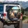 Guinea Pigs Driving Car Urban Park - Road Trip Gift for Guinea Pig Lovers Spare Tire Cover - 3