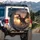 Dragon Knight Golden Fire Sunset Sky - Fantasy Lover Adventure Gift Spare Tire Cover - 3