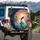 Dolphin Flamingos Tropical Ocean Sunset - Wildlife Lover Gift Spare Tire Cover - 3