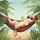 Lounging Cat Sunglasses Hammock - Tropical Beach Lover Gift Spare Tire Cover - 6