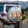 Pembroke Welsh Corgis Wildflower Mountain Scene - Dog Lover Vehicle Accessory Spare Tire Cover - 3