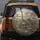 Brachiosaurus T Rex Stegosaurus Prehistoric Dinosaur Jungle - Paleontology Lover Gift Spare Tire Cover - 5
