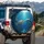 Marine Animals Sea Turtle Dolphin Deep Ocean Coral Reef Fish Sunlight - Wildlife Lover Gift Spare Tire Cover - 3