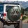 Colossal Hippopotamus Head Tropical Misty Jungle Greenery - Big Game Lover Gift Spare Tire Cover - 3