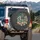 Cacti Succulents Botanical Garden Plant Collection - Home Decor Gift for Garden Lover Spare Tire Cover - 3