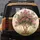 Oleander Floral Blossom Green Foliage Birds Botanical Field - Home Decor Gift Spare Tire Cover - 5