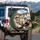 Happy Bull Terriers Luxury Car Ride - Road Trip Accessory for Dog Lover Gift Spare Tire Cover - 3