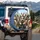 Seven Australian Cattle Dogs Driving Car Scene - Dog Lover Gift Spare Tire Cover - 3