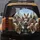 Seven Australian Cattle Dogs Driving Car Scene - Dog Lover Gift Spare Tire Cover - 5