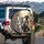 Five Great Dane Dogs Travel Scene - Road Trip Gift for Dog Owners Spare Tire Cover - 3