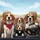 Realistic Beagles Driving Car Highway View - Road Trip Essentials Dog Lover Gift Spare Tire Cover - 6