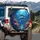 Majestic Dolphins Coral Reef Tropical Fish - Ocean Lover Gift Spare Tire Cover - 3
