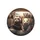Four Ferrets Driving Car - Pet Lover Gift for Ferret Owners Spare Tire Cover - 4