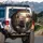 Four Ferrets Driving Car - Pet Lover Gift for Ferret Owners Spare Tire Cover - 3