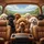 Miniature Poodles Driving Vehicle Interior Sky View - Dog Lover Daily Commute Lifestyle Gift Spare Tire Cover - 6
