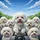 Joyful Fluffy Bichon Frise Dogs Driving Scenic Journey - Road Trip Gift for Dog Lovers Spare Tire Cover - 6