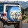 Joyful Fluffy Bichon Frise Dogs Driving Scenic Journey - Road Trip Gift for Dog Lovers Spare Tire Cover - 3