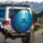Great White Shark Sunlit Deep Ocean Reef Fish Water Bubbles Scene Wildlife Lover Gift Spare Tire Cover - 3