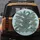 Dynamic Alligators Crocodiles Tropical Jungle Leaves - Outdoor Wildlife Adventure Gift Spare Tire Cover - 5