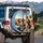 Beagle Dogs Driving Interior Sky Clouds - Travel Essentials Dog Lover Gift Spare Tire Cover - 3