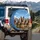 Five German Shepherds Expressive Faces - German Shepherd Lover Gift for Owners Spare Tire Cover - 3