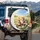 Fluffy Domestic Kittens Daisy Field Butterflies - Cat Lover Travel Essentials Spare Tire Cover - 3